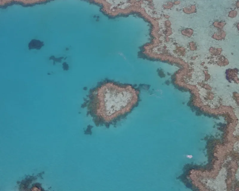 Heart Reef and the surrounding outer reef seen from the air